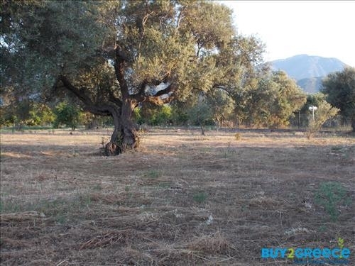 (For Sale) Land Plot || Achaia/Aigio - 19.273 Sq.m, 300.000€ ||| ID :817847-8