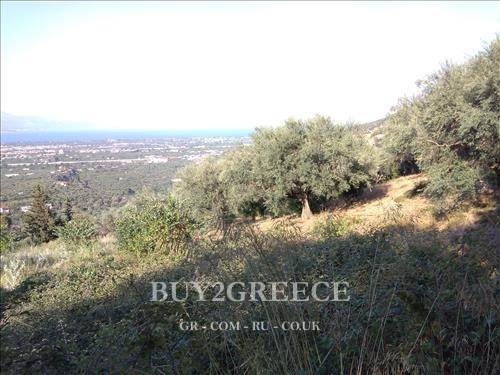 (For Sale) Land Plot || Achaia/Aigio - 887 Sq.m, 57.000€ ||| ID :822731-2