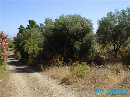 (For Sale) Land Large Land  || Korinthia/Loutraki-Perachora - 16.270 Sq.m, 310.000€ ||| ID :827298-4