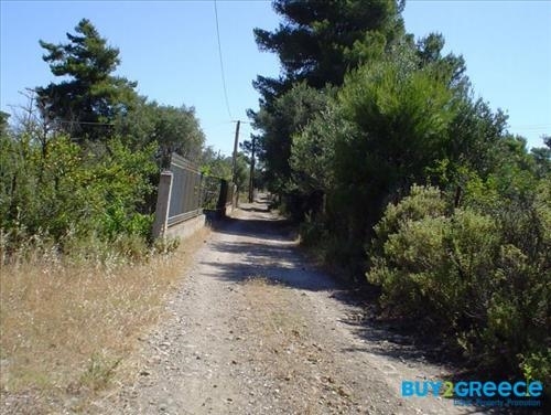 (For Sale) Land Large Land  || Korinthia/Loutraki-Perachora - 16.270 Sq.m, 310.000€ ||| ID :827298-7