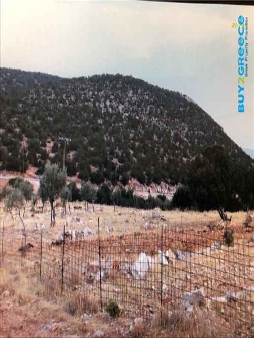 (For Sale) Land Plot || Argolida/Kranidi - 5.500 Sq.m, 180.000€ ||| ID :828705-10