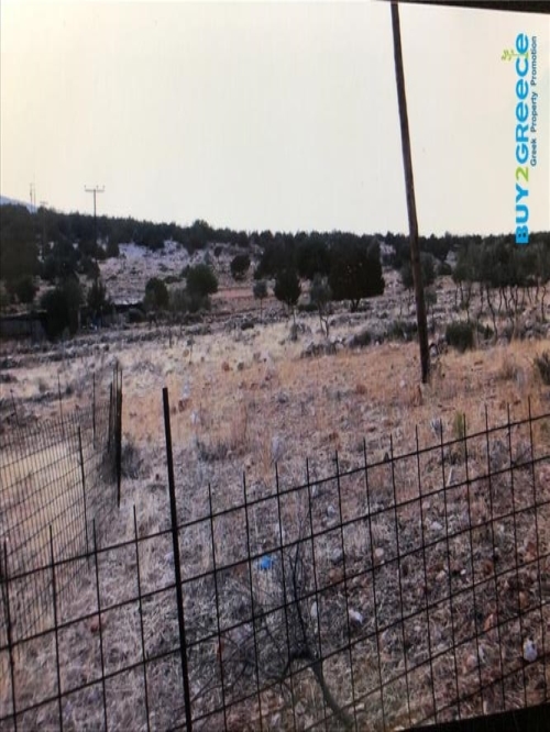 (For Sale) Land Plot || Argolida/Kranidi - 5.500 Sq.m, 180.000€ ||| ID :828705-14