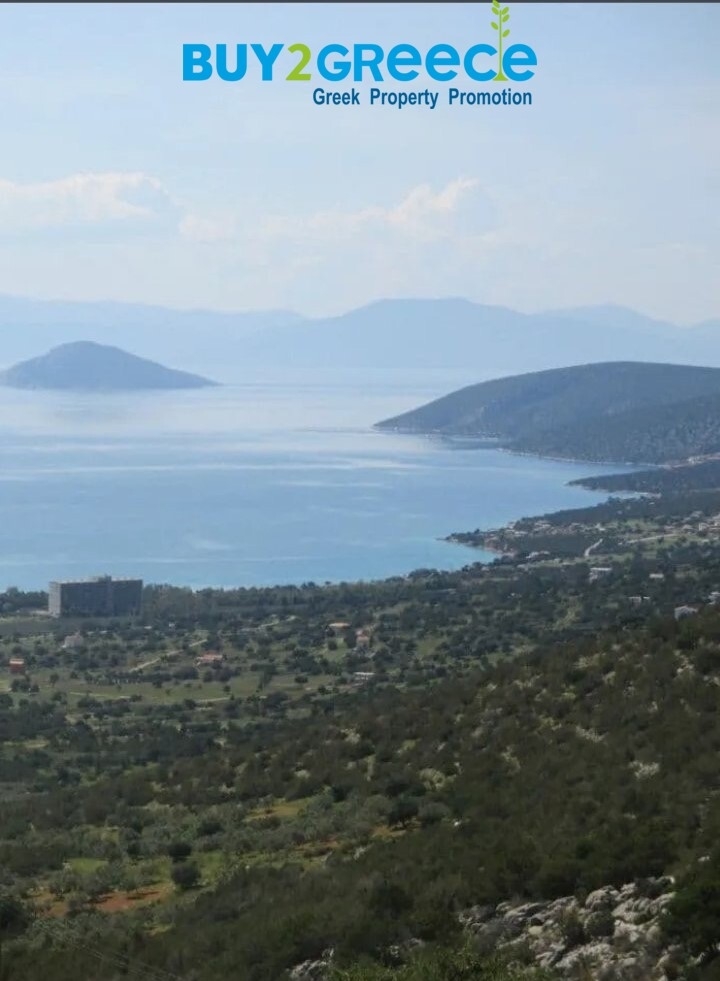 (For Sale) Land Plot || Argolida/Kranidi - 5.500 Sq.m, 180.000€ ||| ID :828705