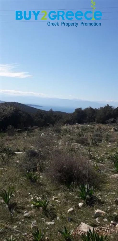 (For Sale) Land Plot || Argolida/Kranidi - 5.500 Sq.m, 180.000€ ||| ID :828705-3