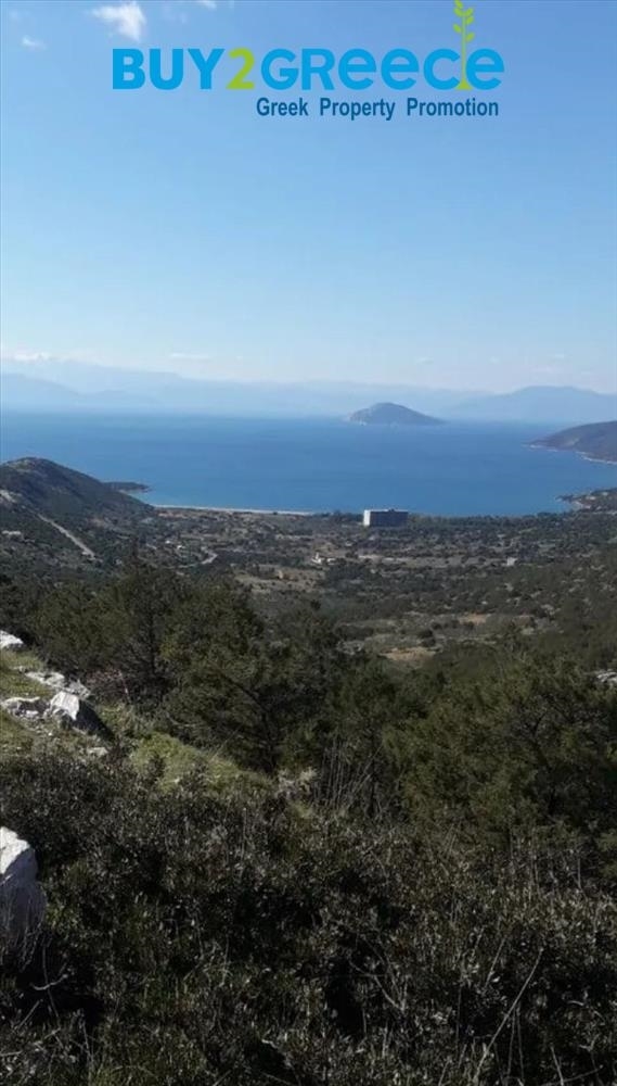 (For Sale) Land Plot || Argolida/Kranidi - 5.500 Sq.m, 180.000€ ||| ID :828705-6