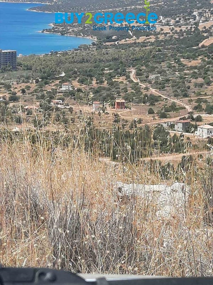 (For Sale) Land Plot || Argolida/Kranidi - 5.500 Sq.m, 180.000€ ||| ID :828705-7