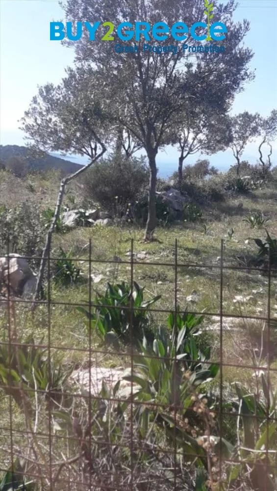 (For Sale) Land Plot || Argolida/Kranidi - 5.500 Sq.m, 180.000€ ||| ID :828705-8