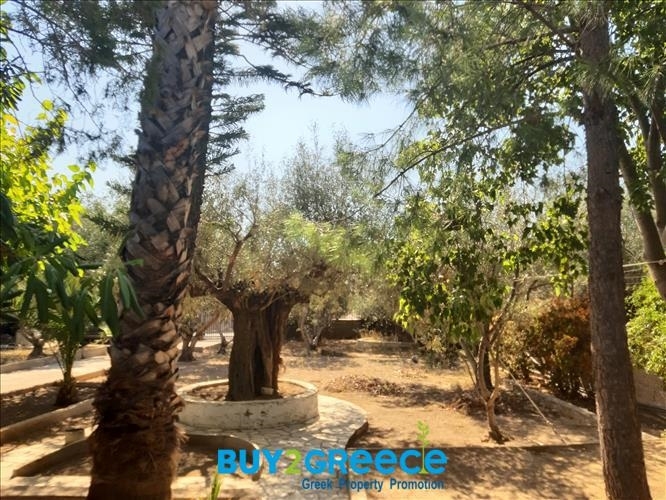 (For Sale) Land Plot ||  West Attica/Nea Peramos (Megalo Pefko) - 1.780 Sq.m, 500.000€ ||| ID :873959-9