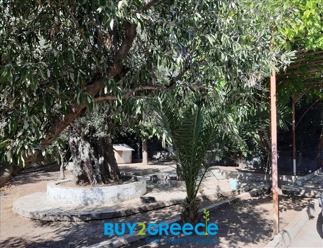 (For Sale) Land Plot ||  West Attica/Nea Peramos (Megalo Pefko) - 1.780 Sq.m, 500.000€ ||| ID :873959-11