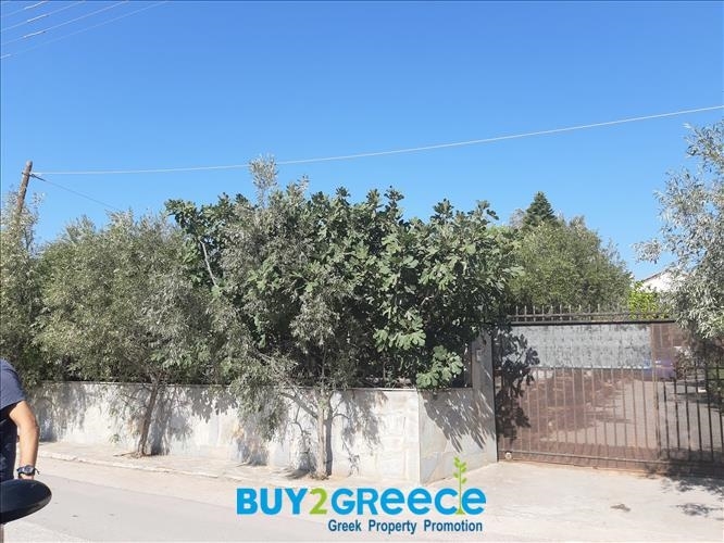 (For Sale) Land Plot ||  West Attica/Nea Peramos (Megalo Pefko) - 1.780 Sq.m, 500.000€ ||| ID :873959-1