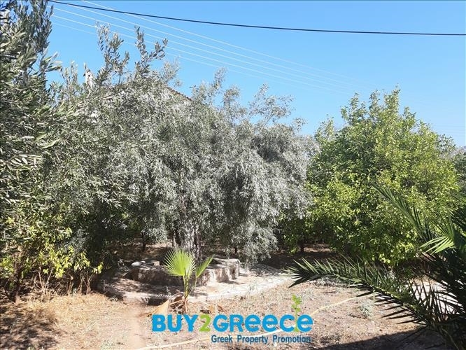 (For Sale) Land Plot ||  West Attica/Nea Peramos (Megalo Pefko) - 1.780 Sq.m, 500.000€ ||| ID :873959-6