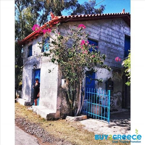 (For Sale) Residential Detached house || Piraias/Methana - 90 Sq.m, 175.000€ ||| ID :916350-13