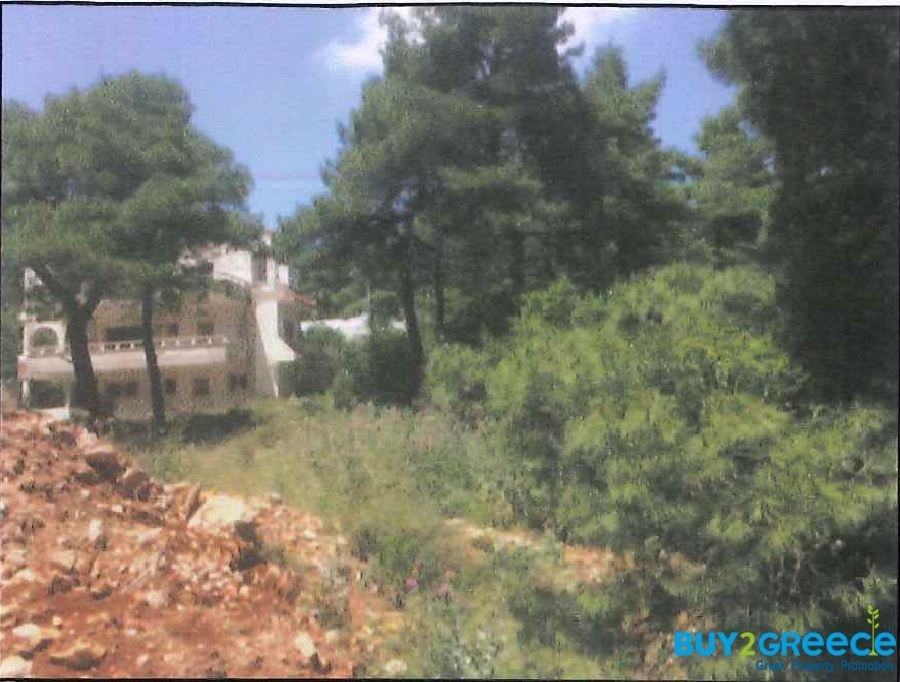 (For Sale) Land Plot || East Attica/Afidnes (Kiourka) - 2.000 Sq.m, 100.000€ ||| ID :920422