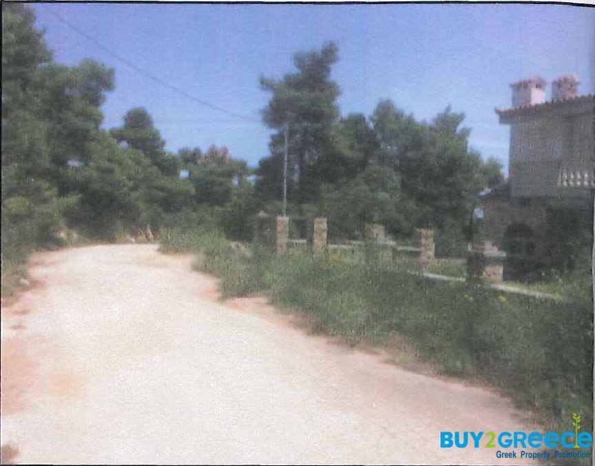 (For Sale) Land Plot || East Attica/Afidnes (Kiourka) - 2.000 Sq.m, 100.000€ ||| ID :920422-2