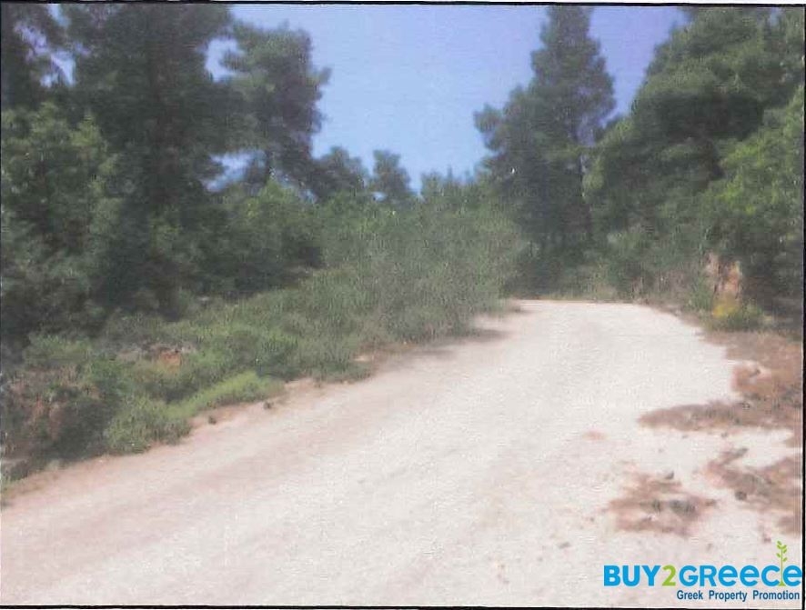 (For Sale) Land Plot || East Attica/Afidnes (Kiourka) - 2.000 Sq.m, 100.000€ ||| ID :920422-5