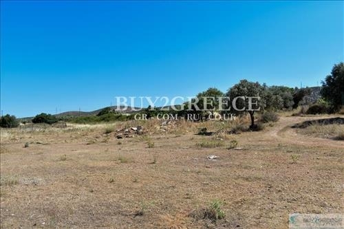 (For Sale) Land Large Land  || East Attica/Keratea - 10.000 Sq.m, 2.200.000€ ||| ID :926959-10