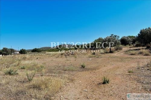 (For Sale) Land Large Land  || East Attica/Keratea - 10.000 Sq.m, 2.200.000€ ||| ID :926959-11