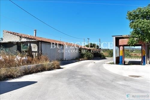 (For Sale) Land Large Land  || East Attica/Keratea - 10.000 Sq.m, 2.200.000€ ||| ID :926959-6