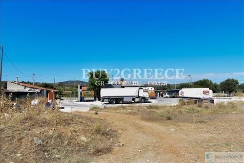 (For Sale) Land Large Land  || East Attica/Keratea - 10.000 Sq.m, 2.200.000€ ||| ID :926959-7