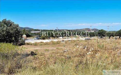 (For Sale) Land Large Land  || East Attica/Keratea - 10.000 Sq.m, 2.200.000€ ||| ID :926959-8