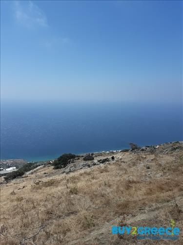 (For Sale) Land Agricultural Land  || Cyclades/Andros Chora - 17.000 Sq.m, 150.000€ ||| ID :932406-4