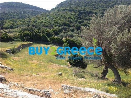 (For Sale) Land Agricultural Land  || Evoia/Styra - 20.000 Sq.m, 135.000€ ||| ID :996443-9