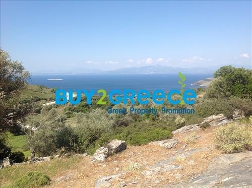 (For Sale) Land Agricultural Land  || Evoia/Styra - 20.000 Sq.m, 135.000€ ||| ID :996443-3