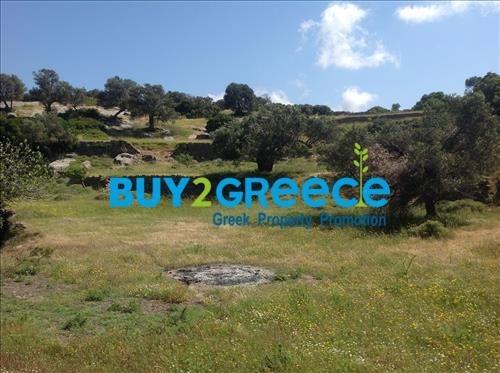 (For Sale) Land Agricultural Land  || Evoia/Styra - 20.000 Sq.m, 135.000€ ||| ID :996443-4