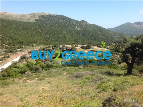 (For Sale) Land Agricultural Land  || Evoia/Styra - 20.000 Sq.m, 135.000€ ||| ID :996443-5