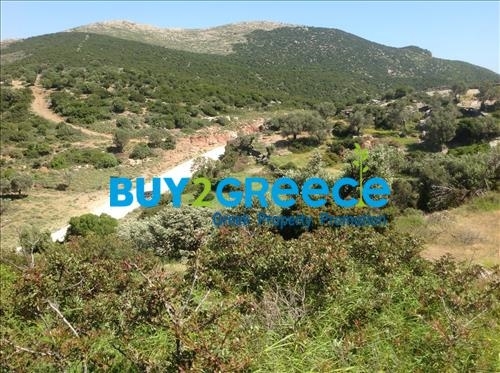 (For Sale) Land Agricultural Land  || Evoia/Styra - 20.000 Sq.m, 135.000€ ||| ID :996443-7