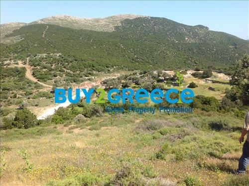 (For Sale) Land Agricultural Land  || Evoia/Styra - 20.000 Sq.m, 135.000€ ||| ID :996443-8